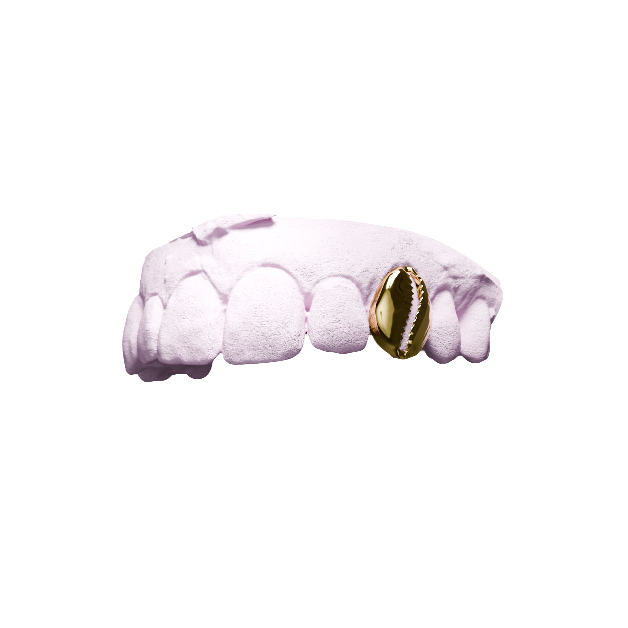 Grillz Cauri – dent pleine sculptée en coquillage cauri, or, vue 3/4