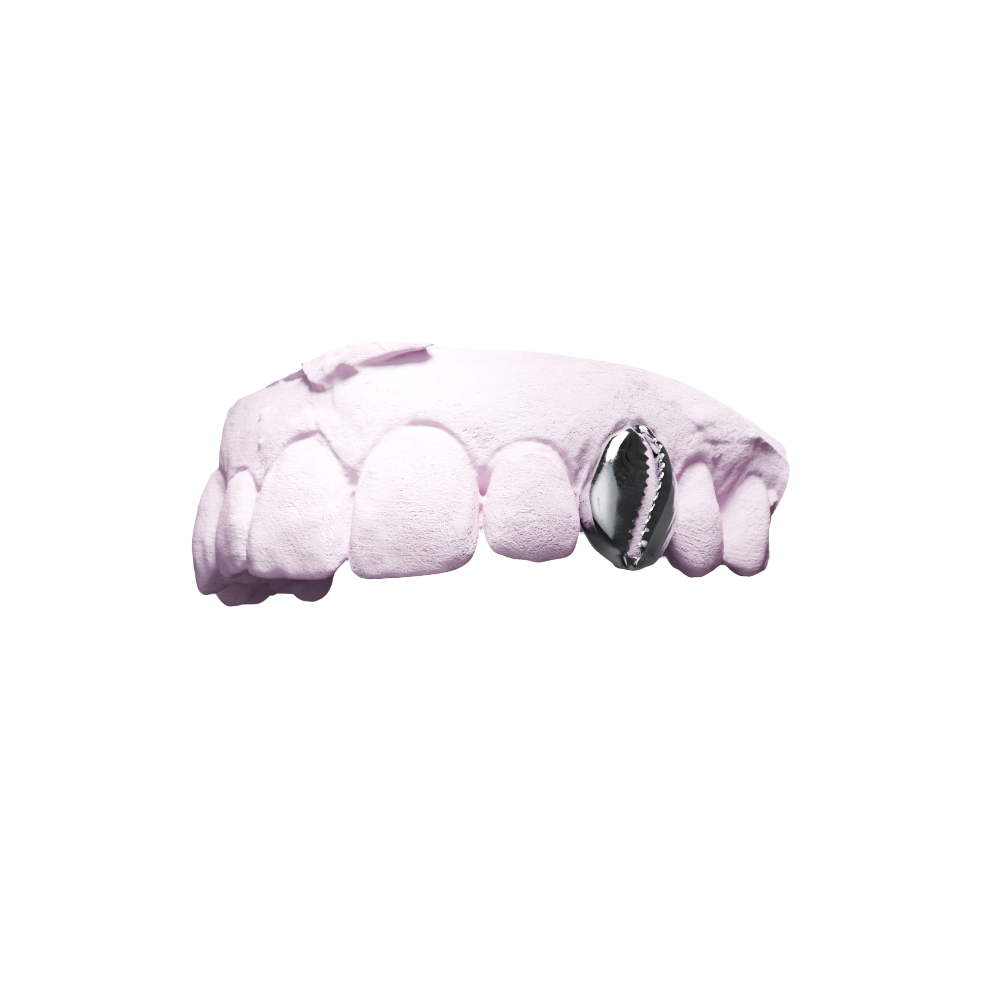 Grillz Cauri – dent pleine sculptée en coquillage cauri, argent, vue 3/4